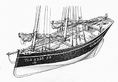 F - Sardinier di Douarnenez - costruzione moderna su vecchi piani 